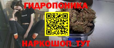 PSILOCYBIN Обнинск