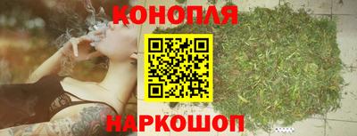 PSILOCYBIN Обнинск