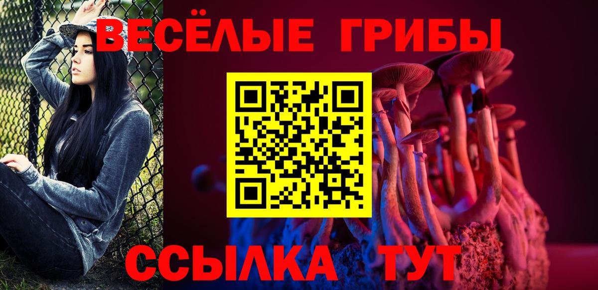 Галлюциногенные грибы мухоморы  Галлюциногенные грибы прущие грибы  Вход с VPN  Пенза 